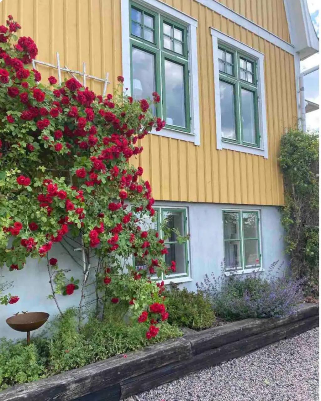 Villa Bjoerkliden B&B Tenhult Buitenkant foto